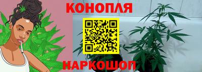 гашик Волжск